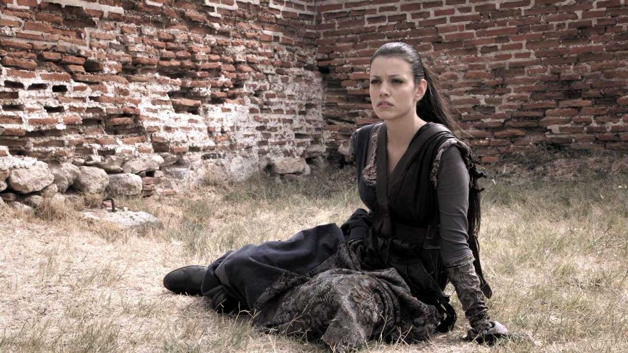 In the Name of the King III (2014) 0