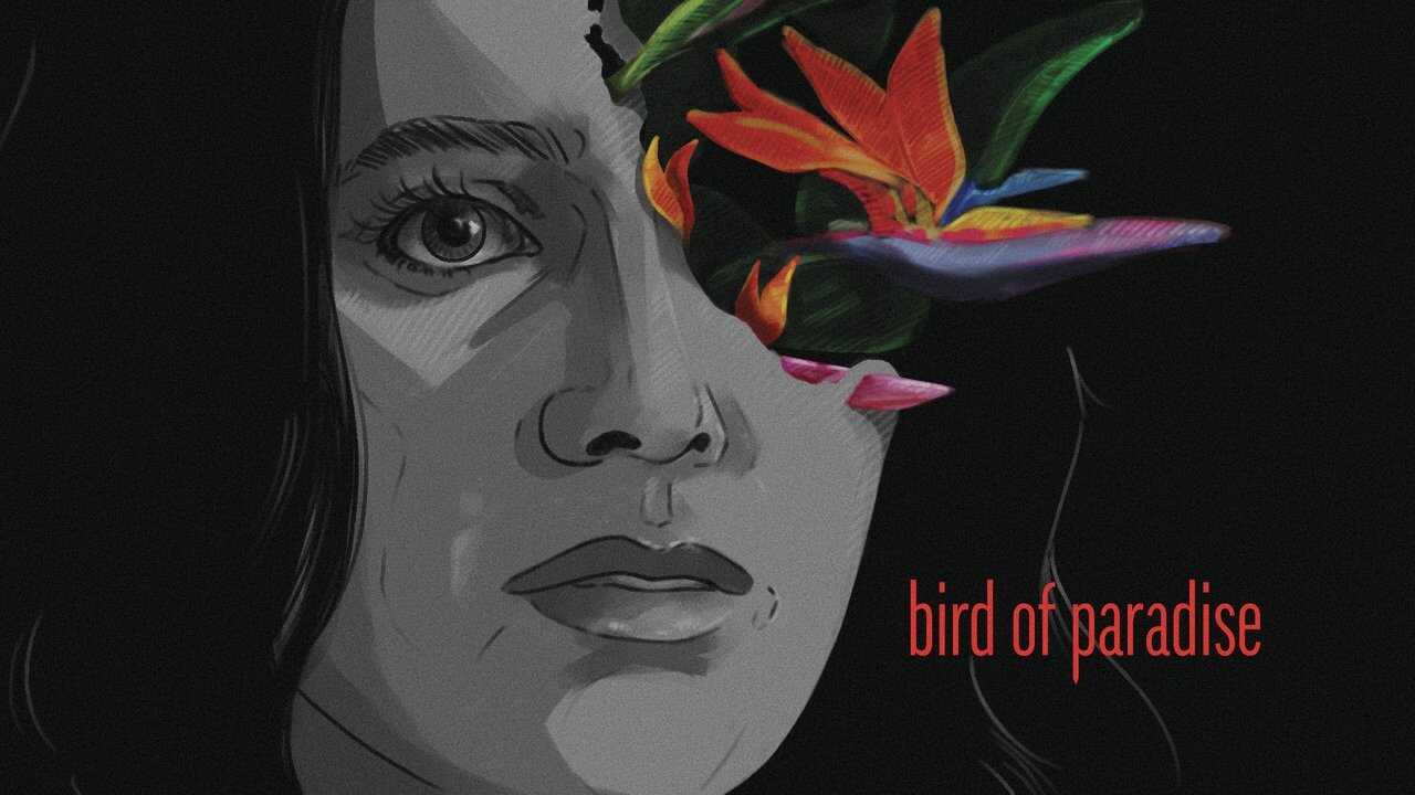 Bird of Paradise (2024) 0