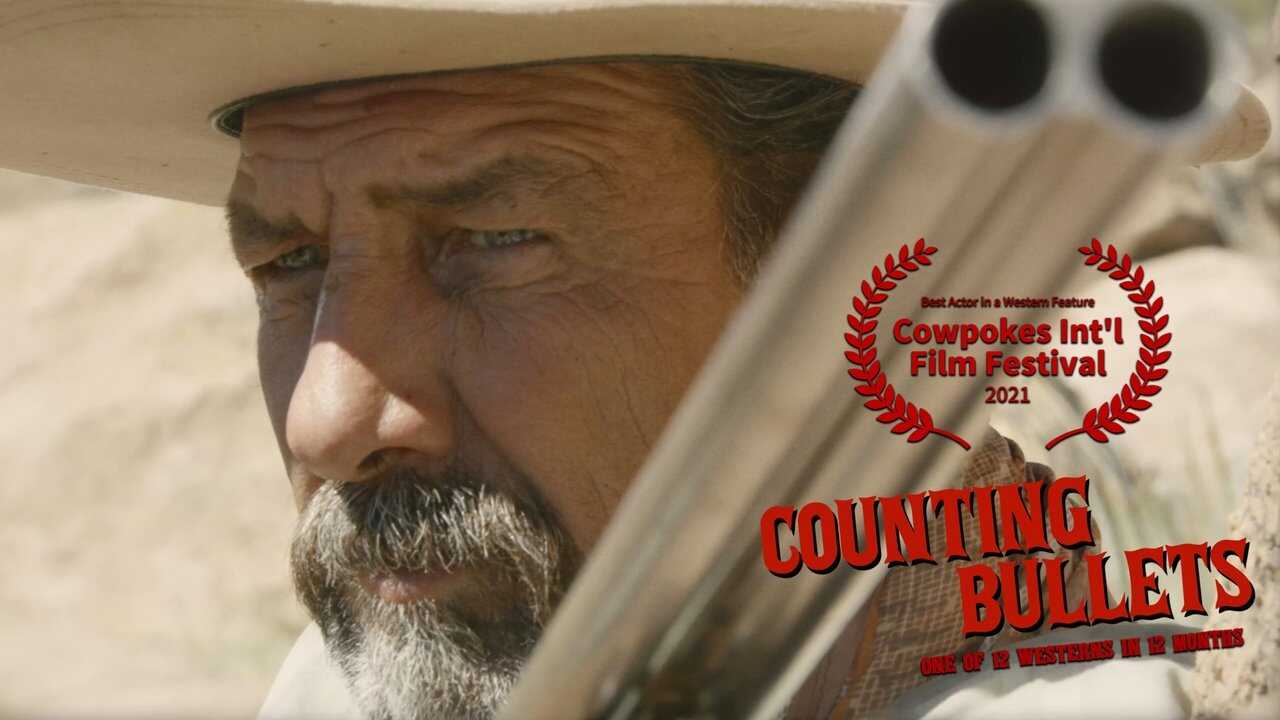 Counting Bullets 0