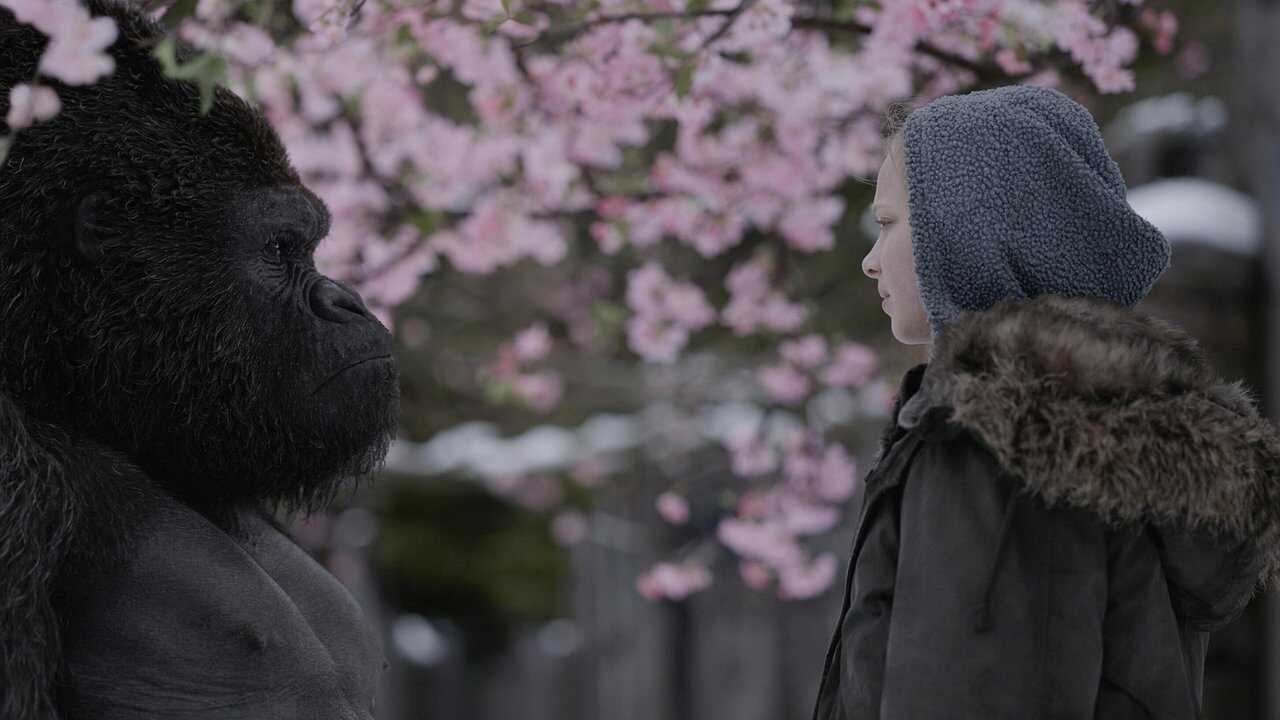 War for the Planet of the Apes (2017) 0