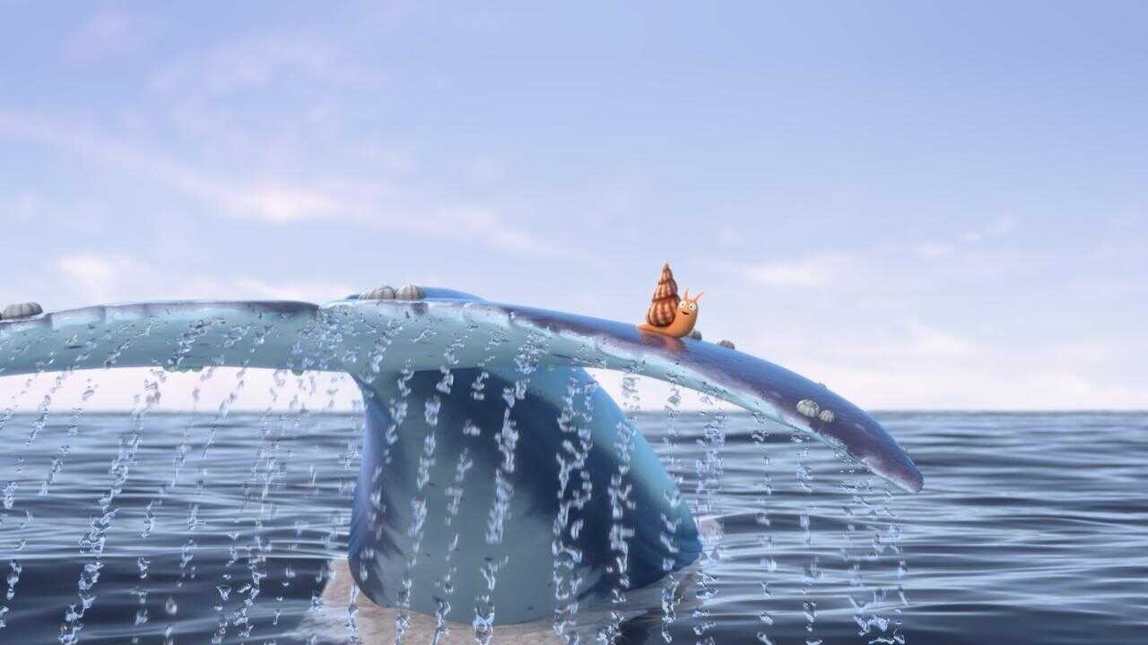 The Snail and the Whale 0