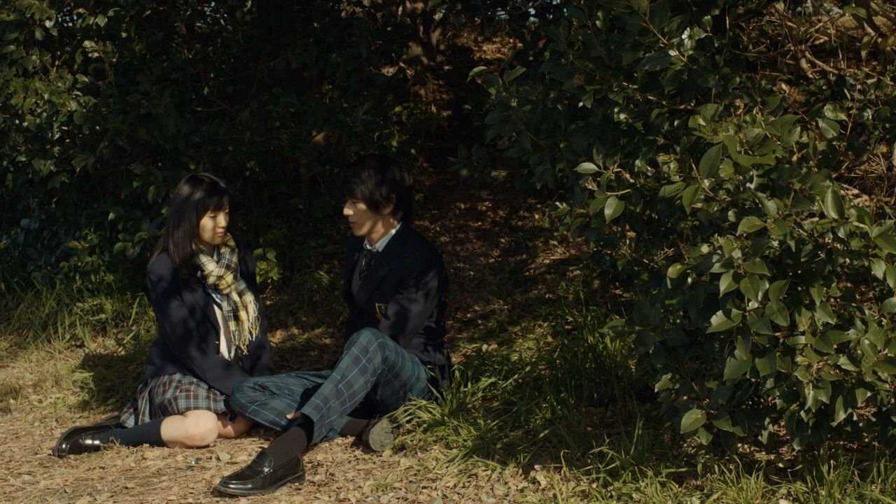 The Cowards Who Looked to the Sky 0