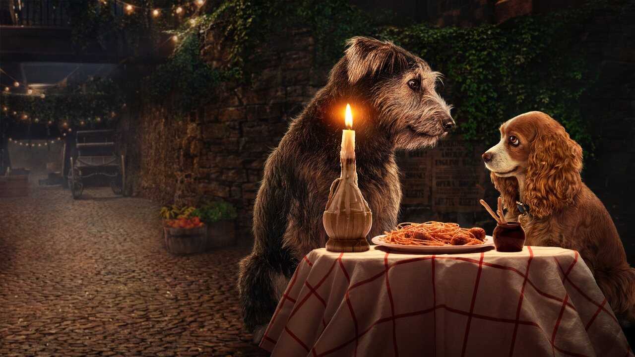 Lady and the Tramp 0