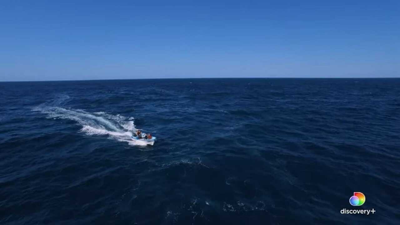 Fin 0