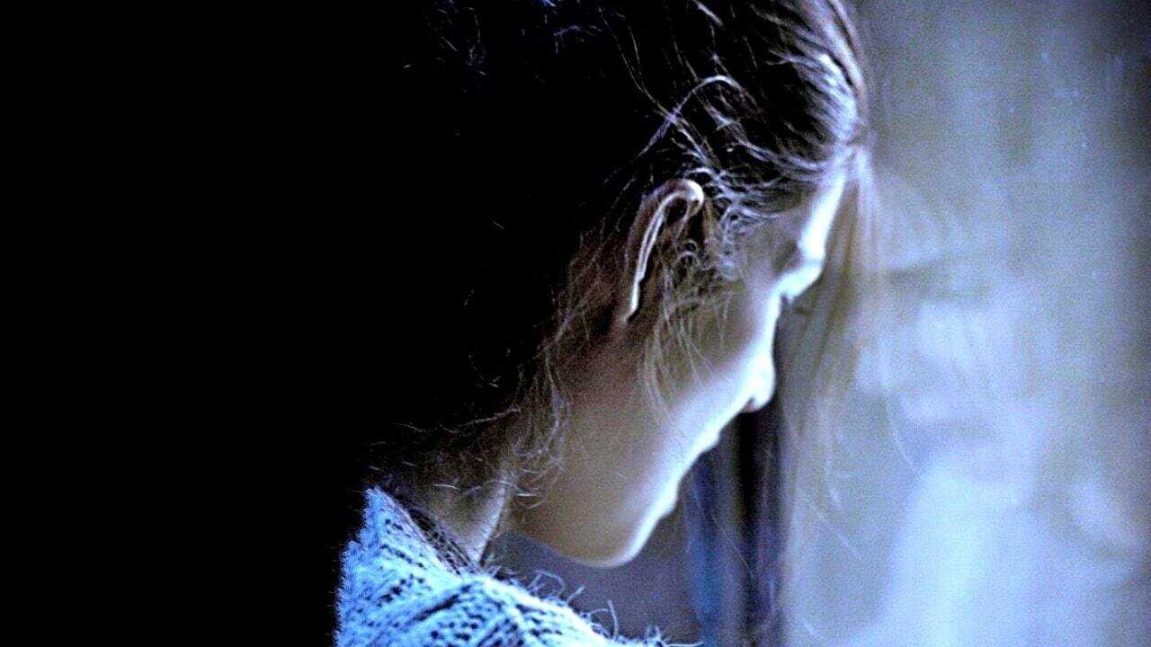 Ukryta twarz (2011) 0