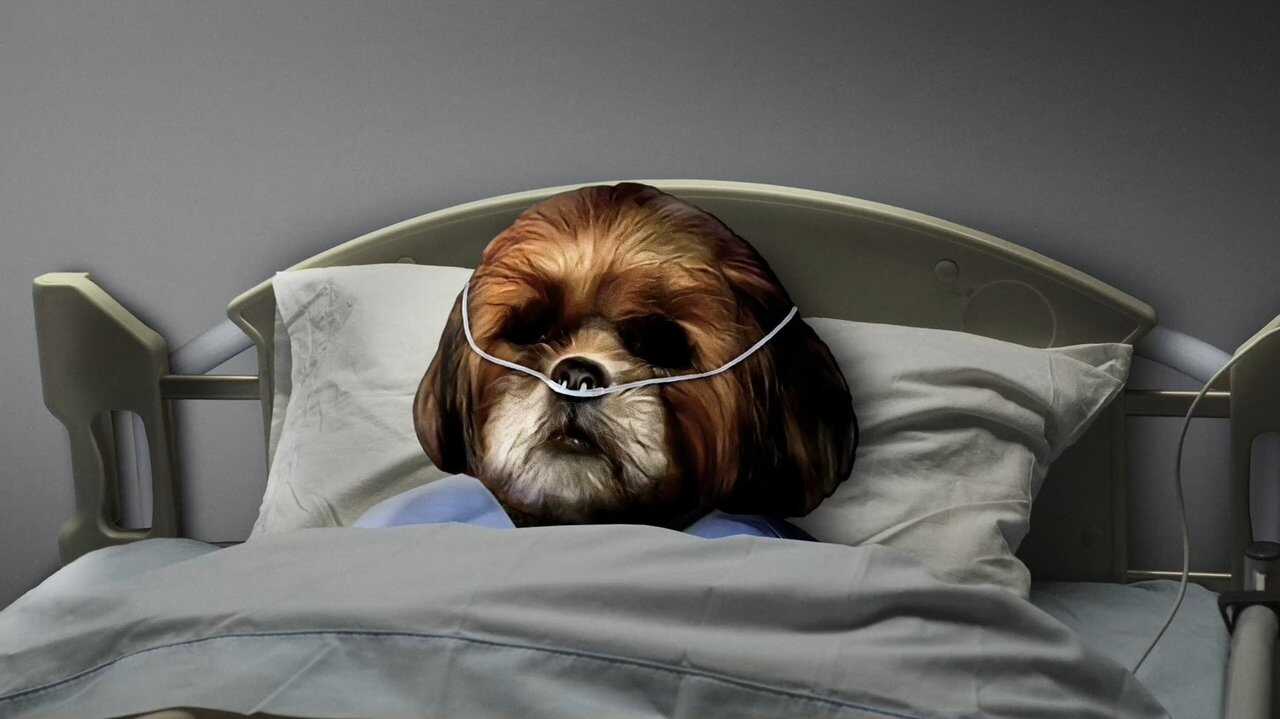 O Natal do Bruno Aleixo (2022) 0