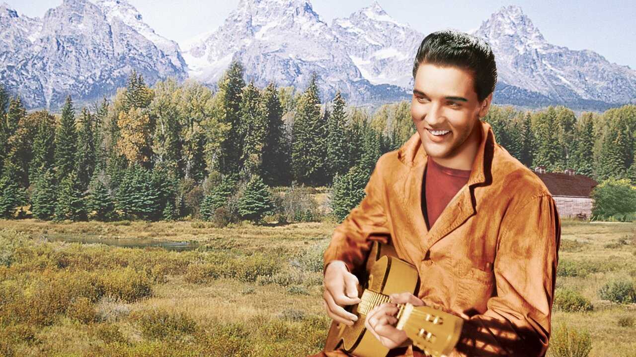 Wild in the Country 0