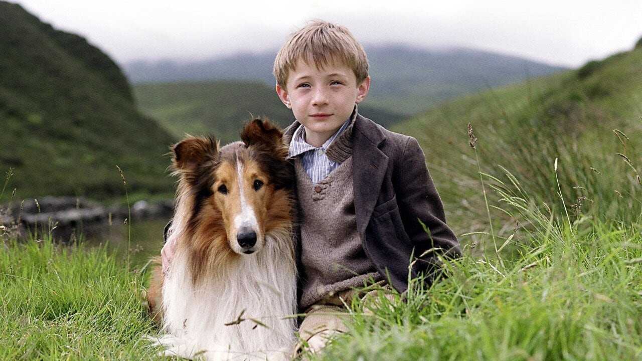 Lassie (2005) 0