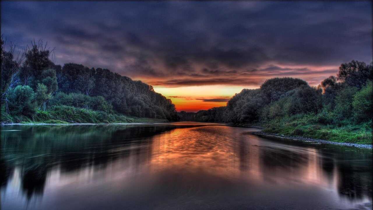 Amazonia 0
