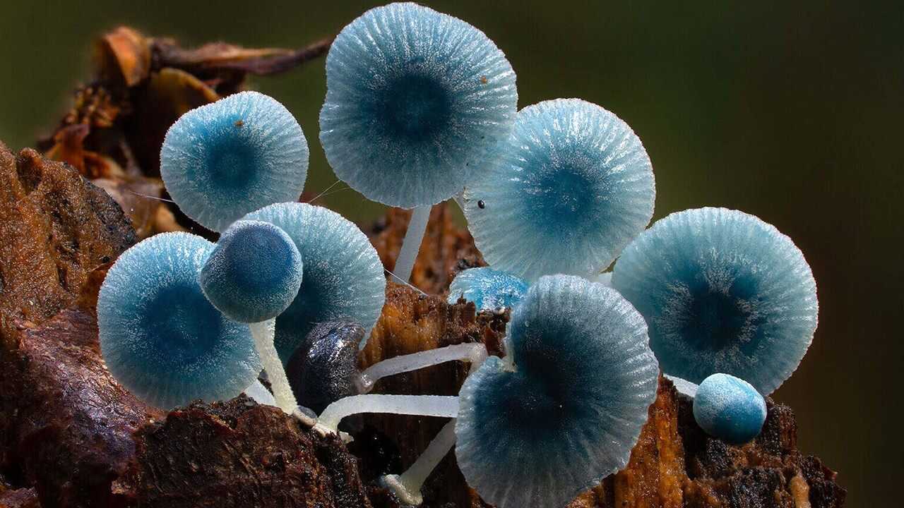 Follow the Rain (2024) 0