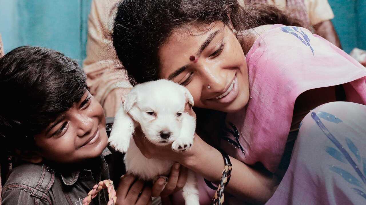 தோனிமா 0