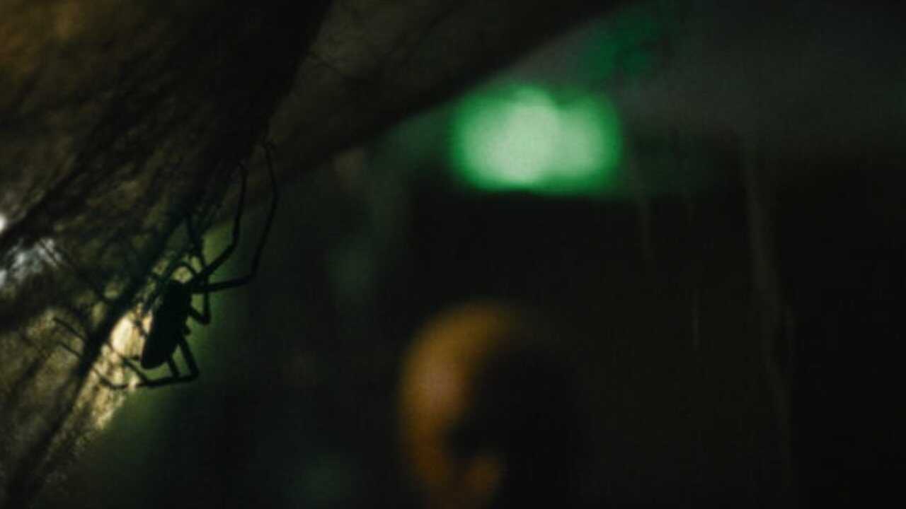Vermines (2023) 0