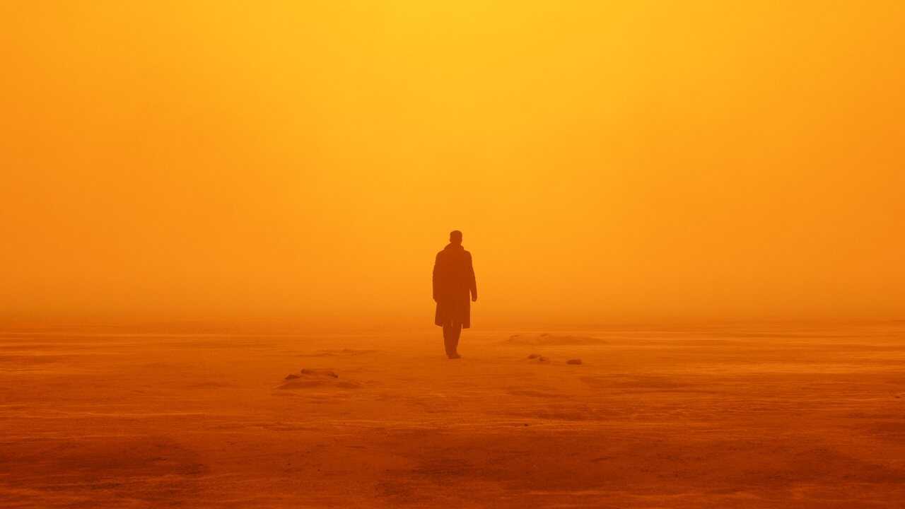 Blade Runner 2049 (2017) 0