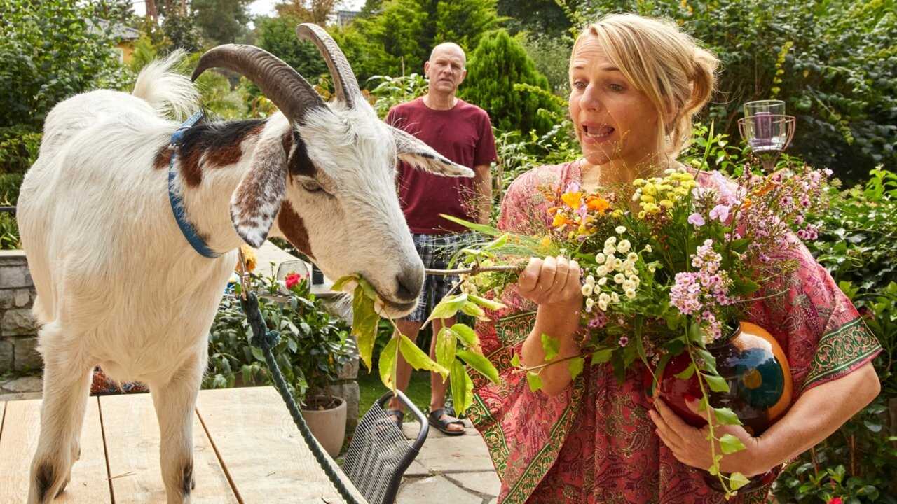 Klima retten für Anfänger (2022) 0