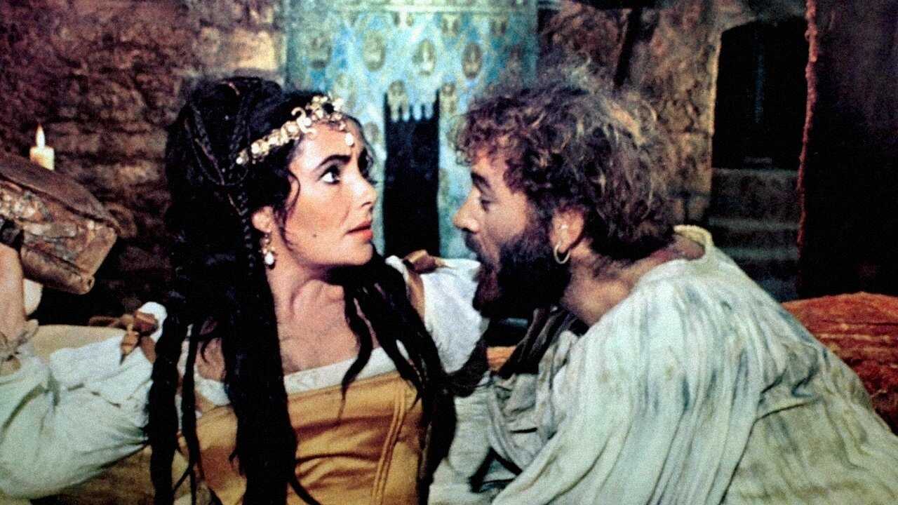 The Taming of the Shrew 0