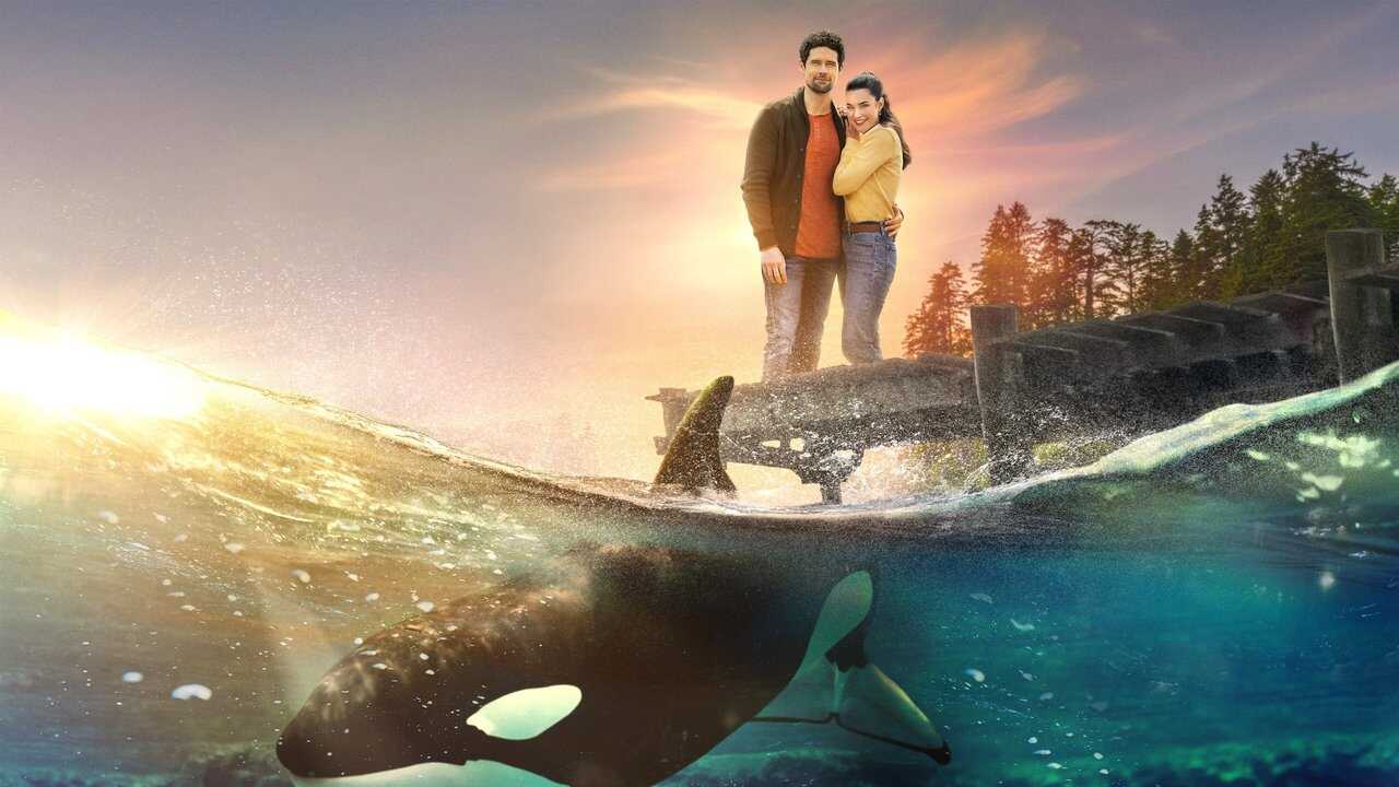 A Splash of Love 0