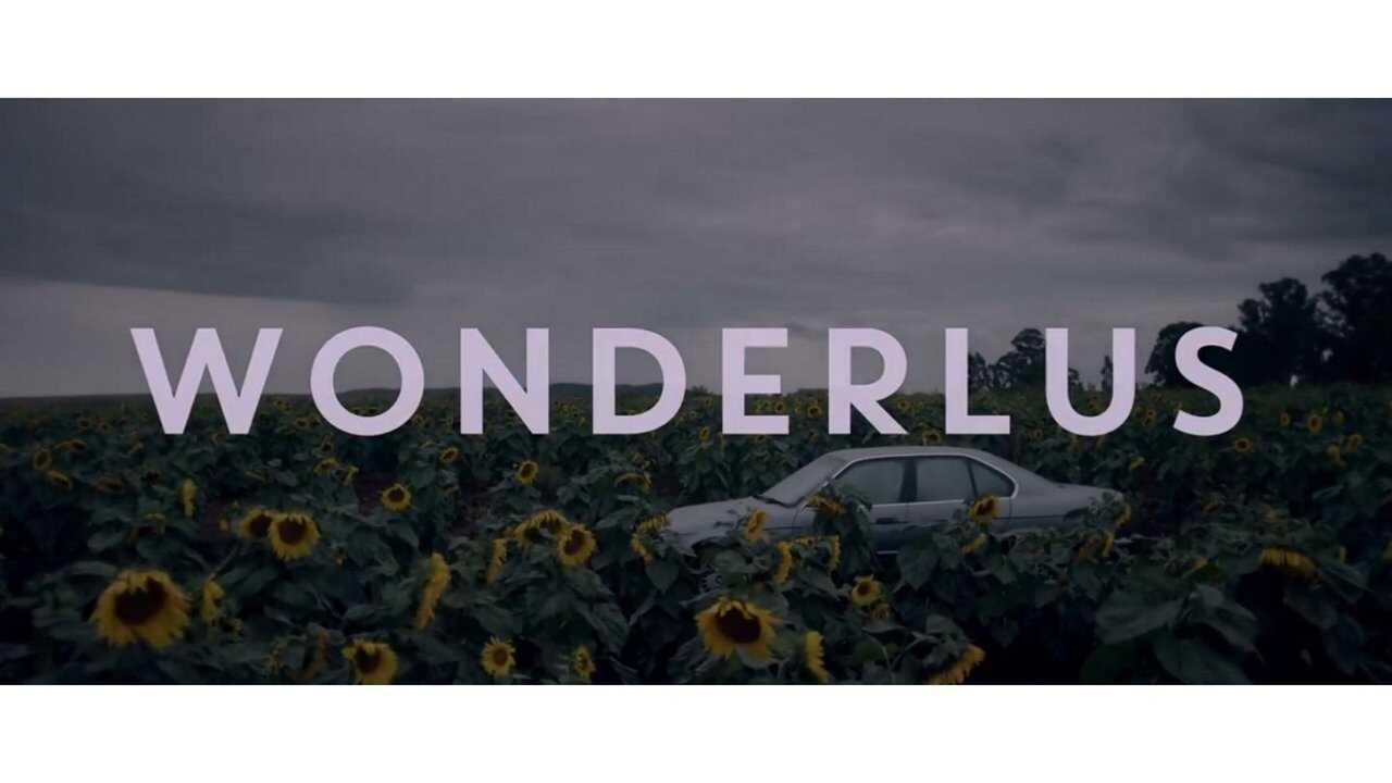 Wonderlus 0