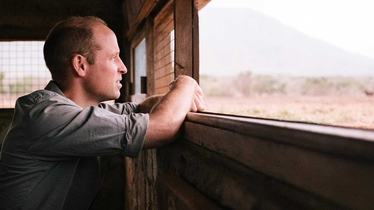 Prince William: A Planet For Us All (2020) 0