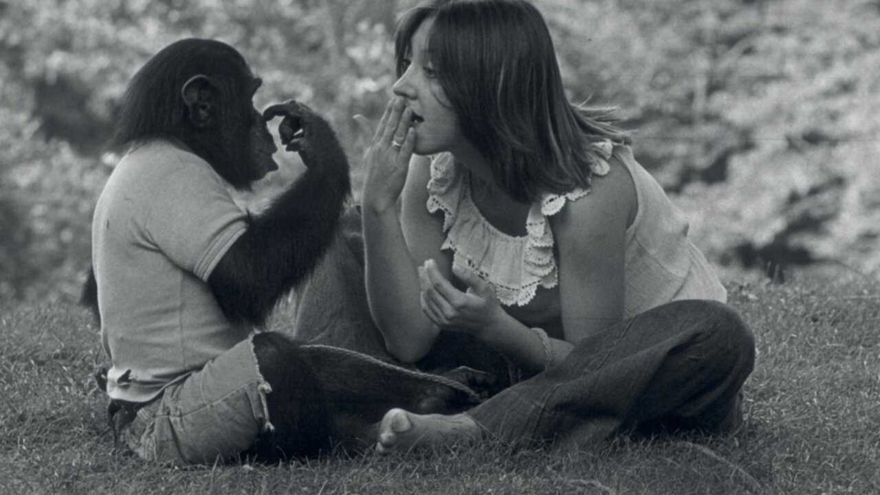 Project Nim (2011) 0