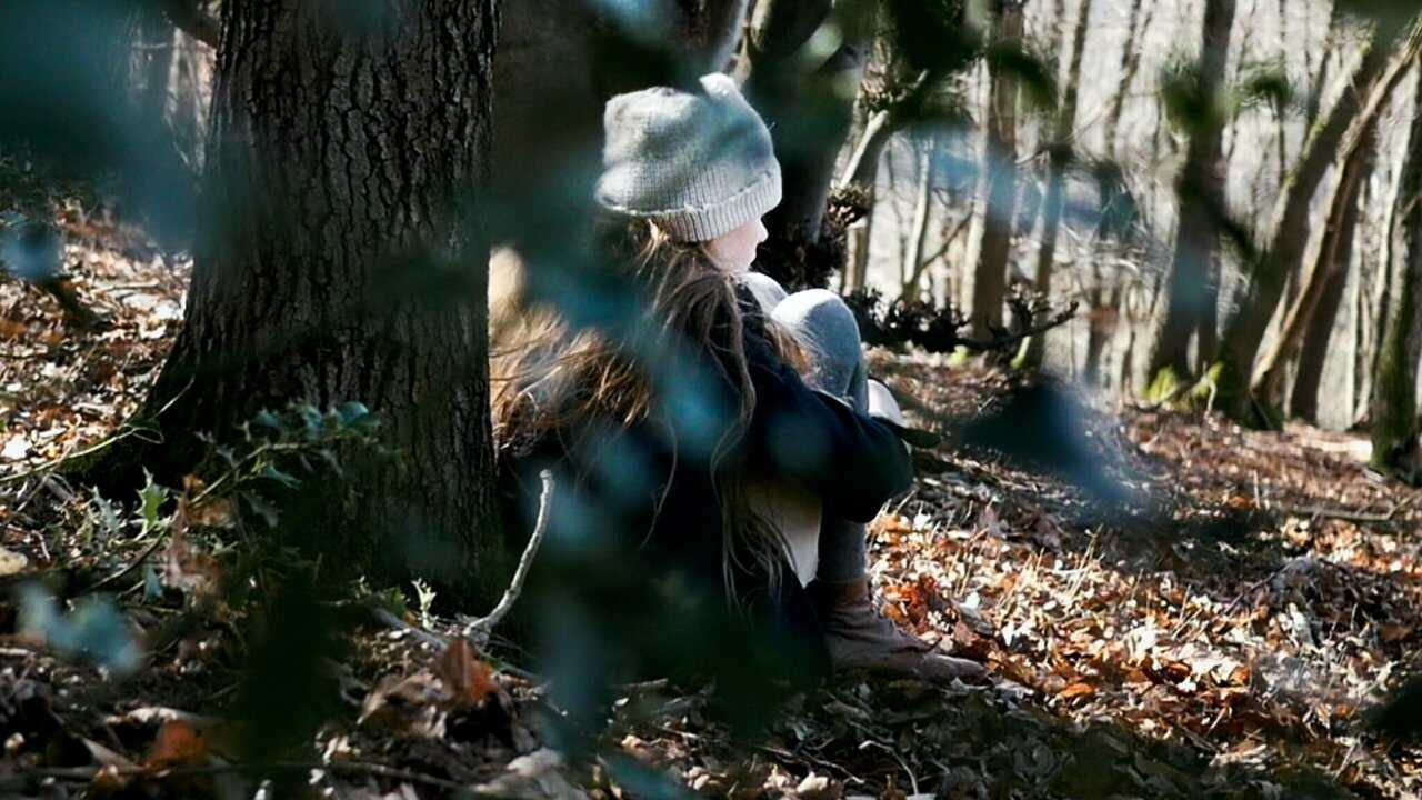 Misha and the Wolves 0