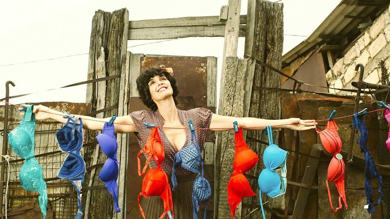 The Bra 0