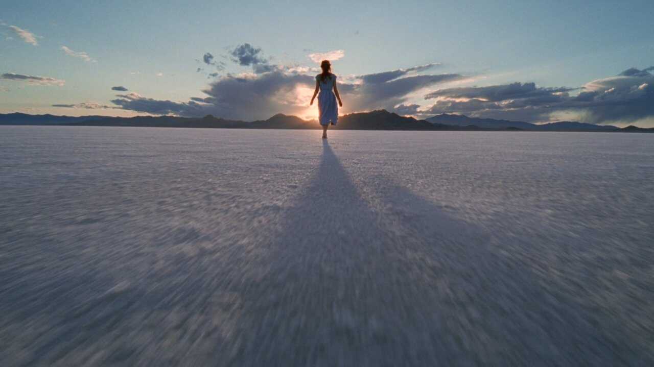 El árbol de la vida (2011) 0