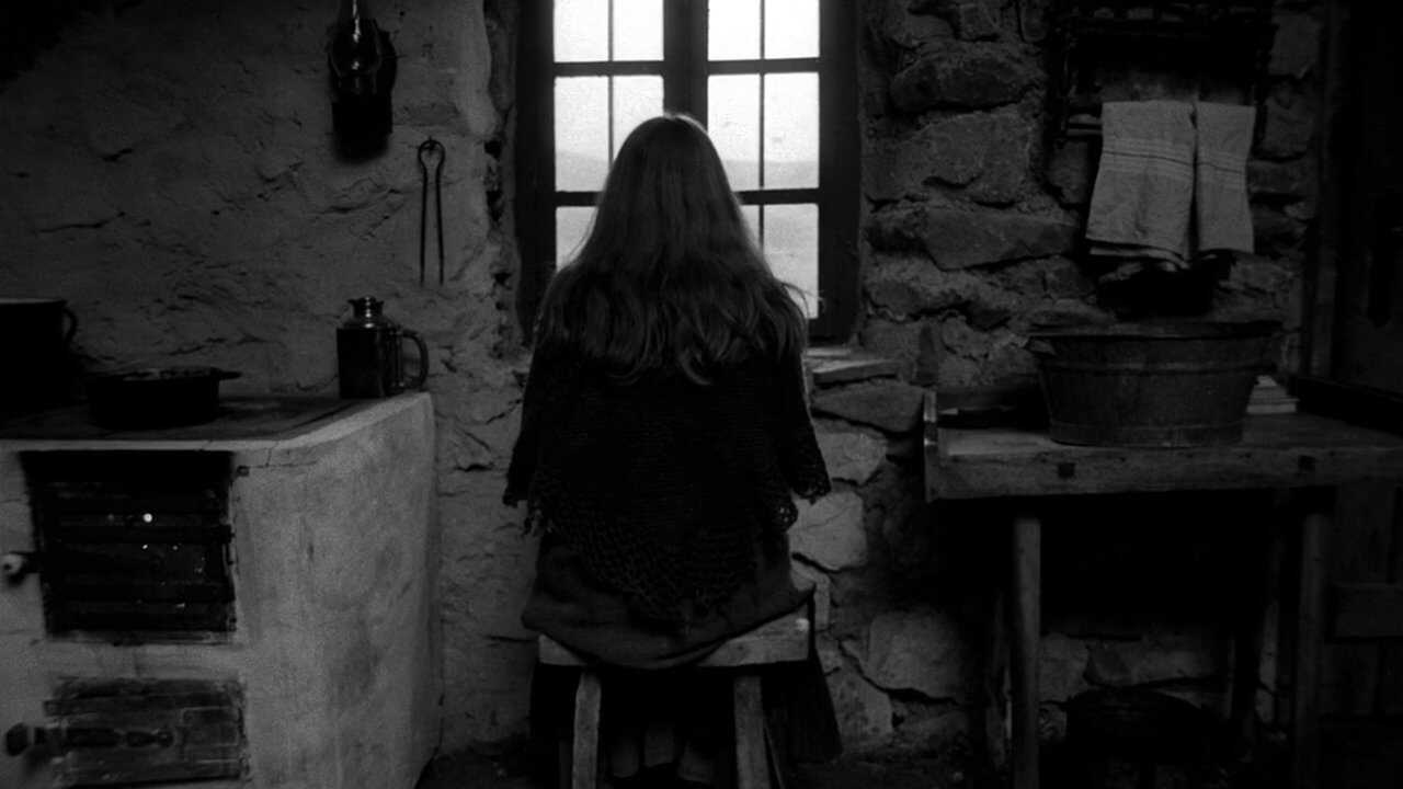 A torinói ló (2011) 0