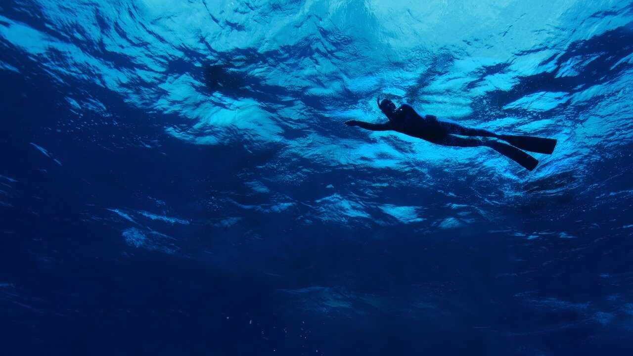 The Swim 0