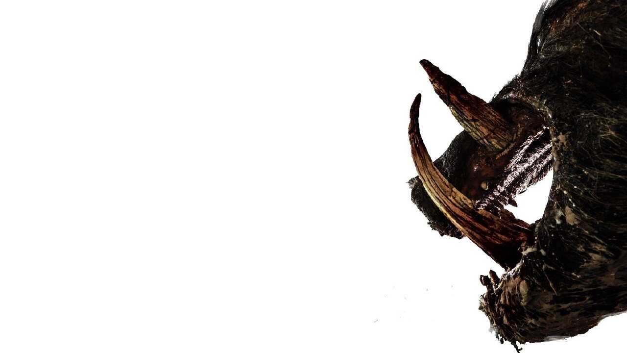 Boar 0