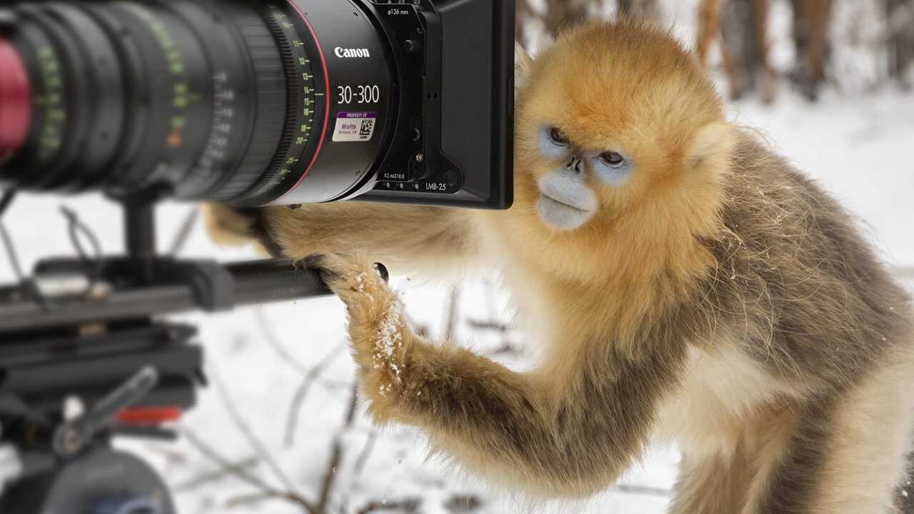 Expedition China 0