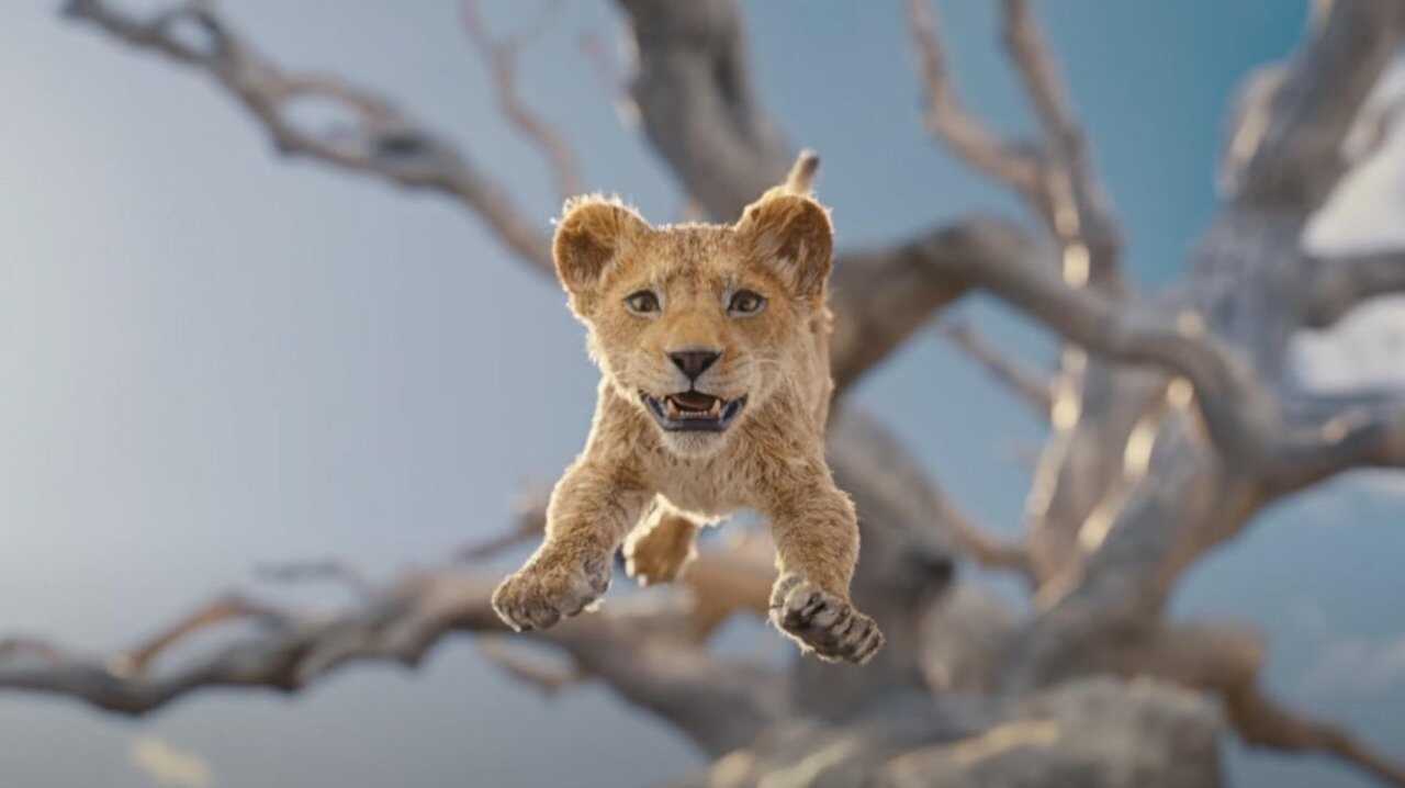 Mufasa: The Lion King (2024) 0