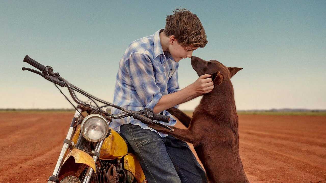 Red Dog: True Blue 0
