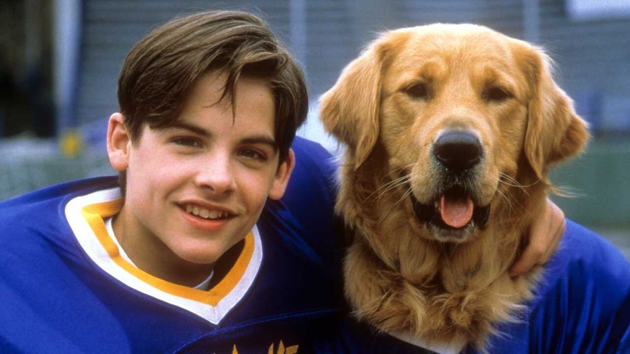 Air Bud: Golden Receiver (1998) 0