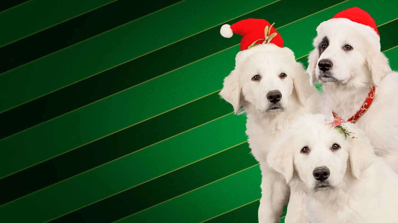 Santa Buddies 0