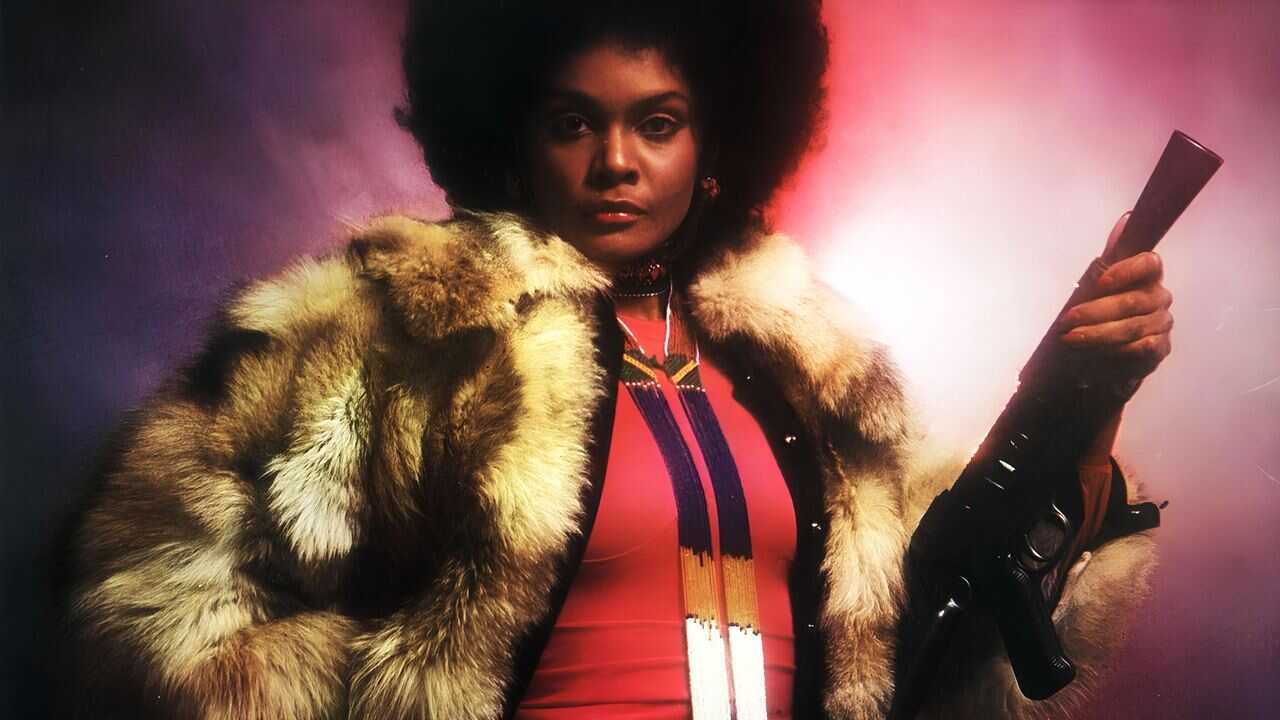 Ein Fall für Cleopatra Jones (1973) 0