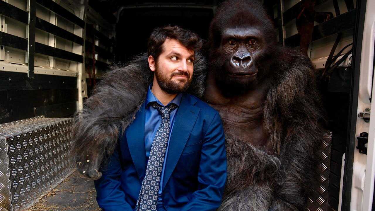Attenti al gorilla 0
