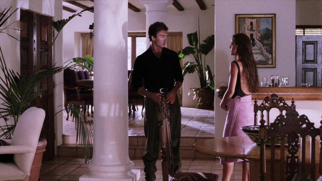 The Hit List (1993) 0