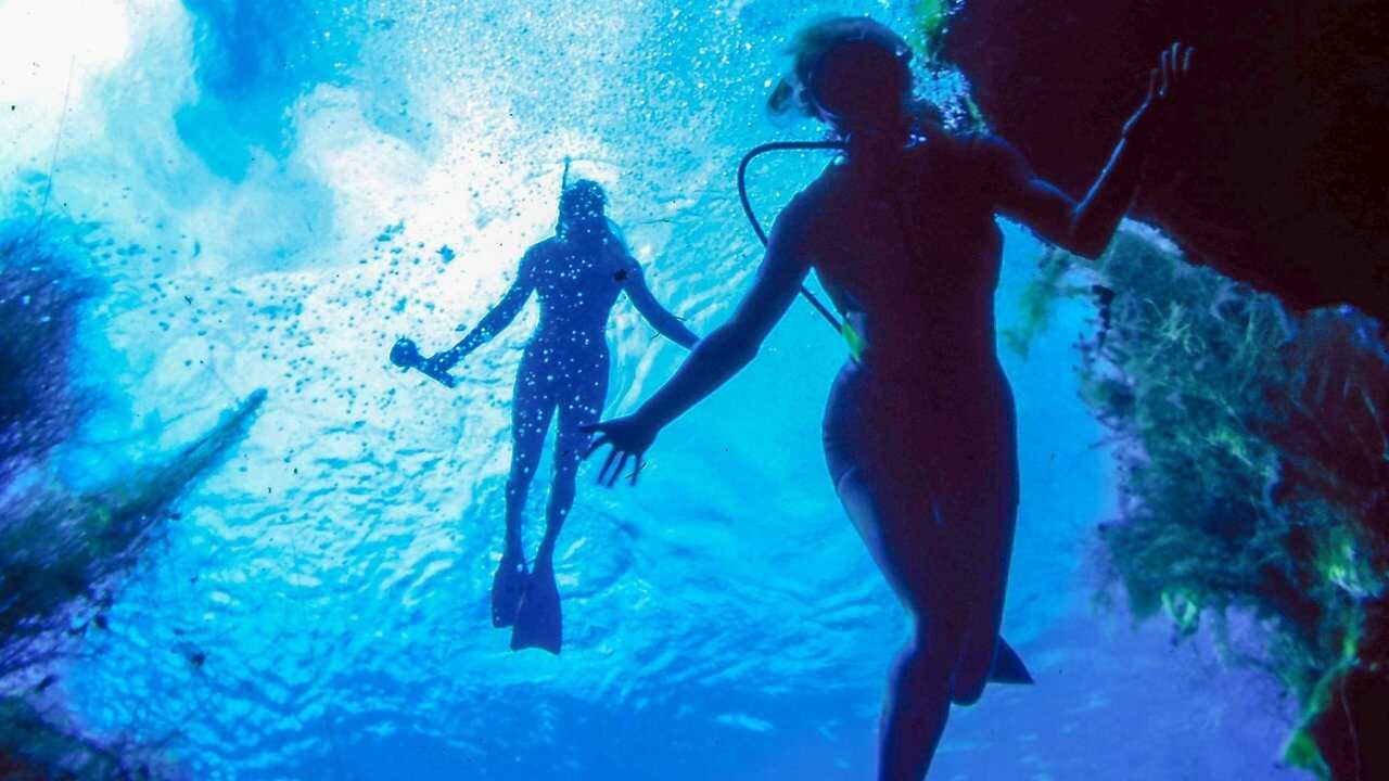 Le Blues des océans (2017) 0