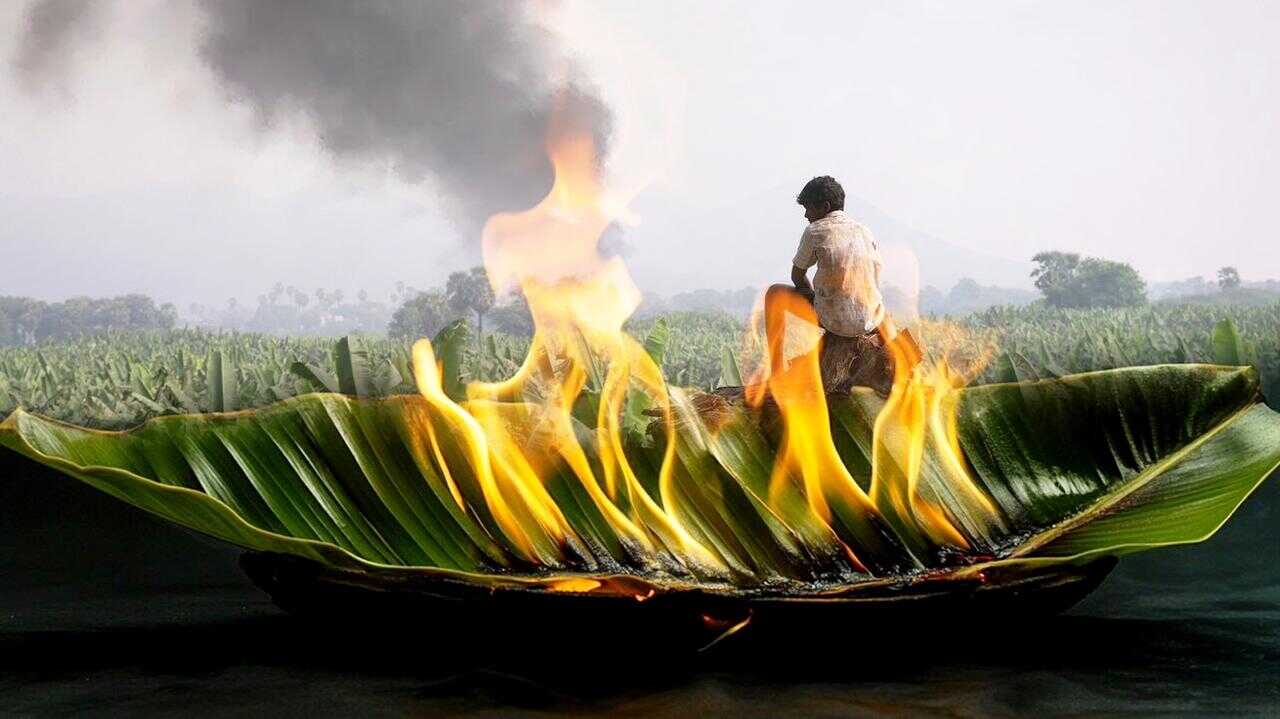 Vaazhai (2024) 0