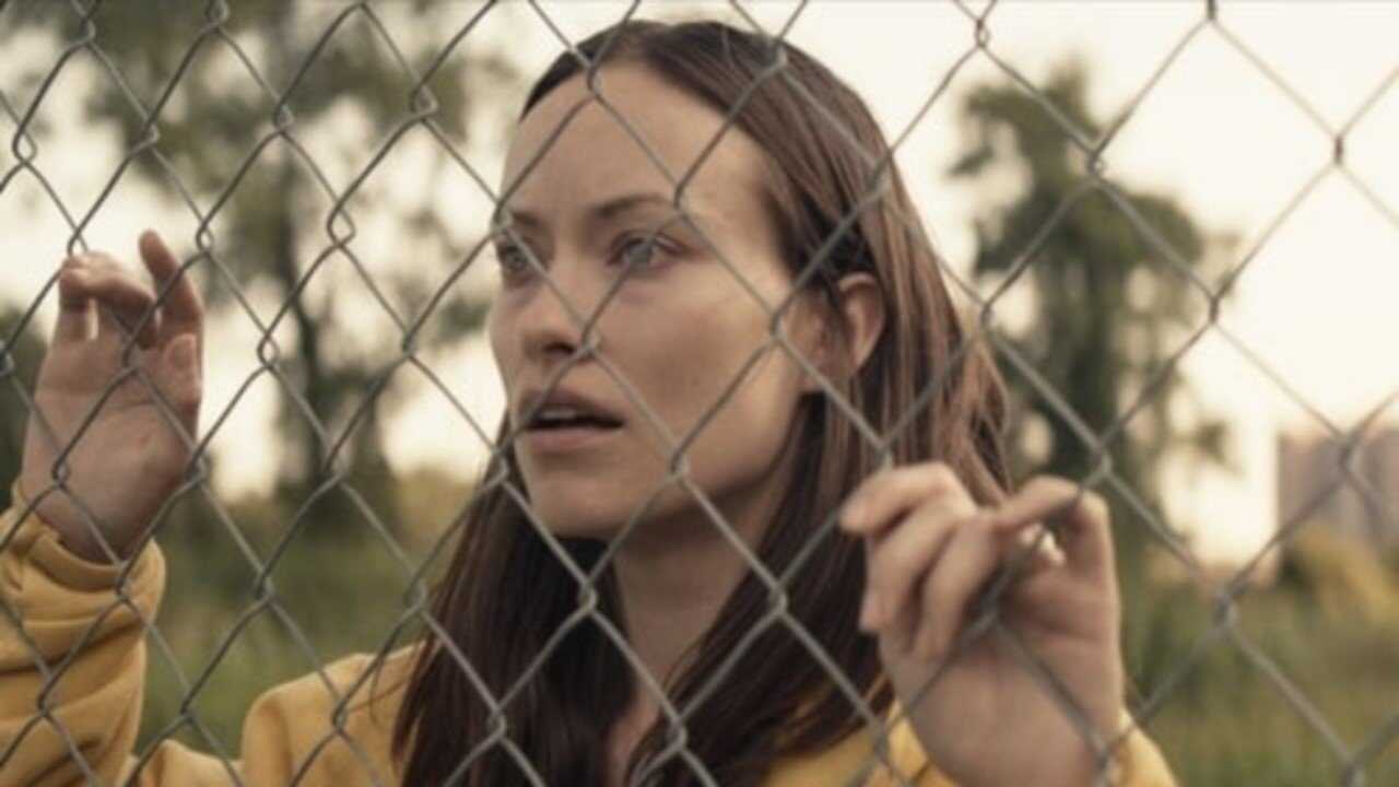 Meadowland 0