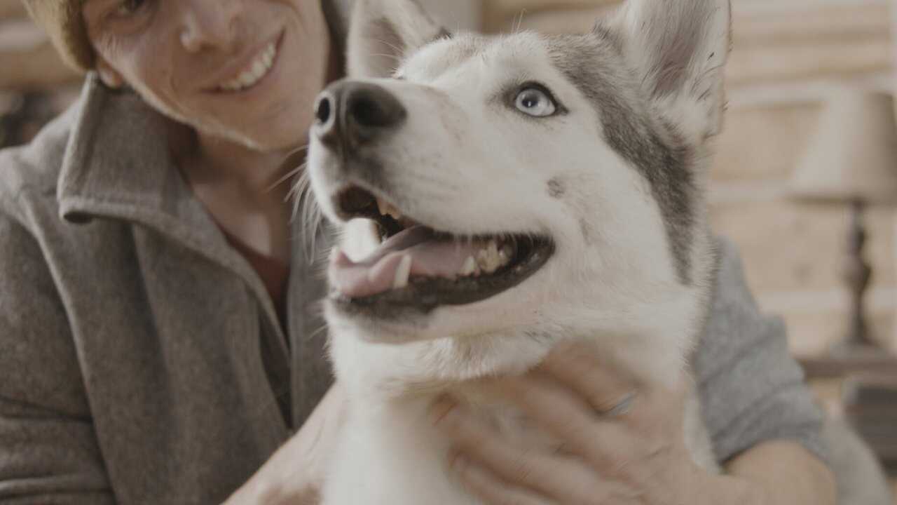 The Year of the Dog 0