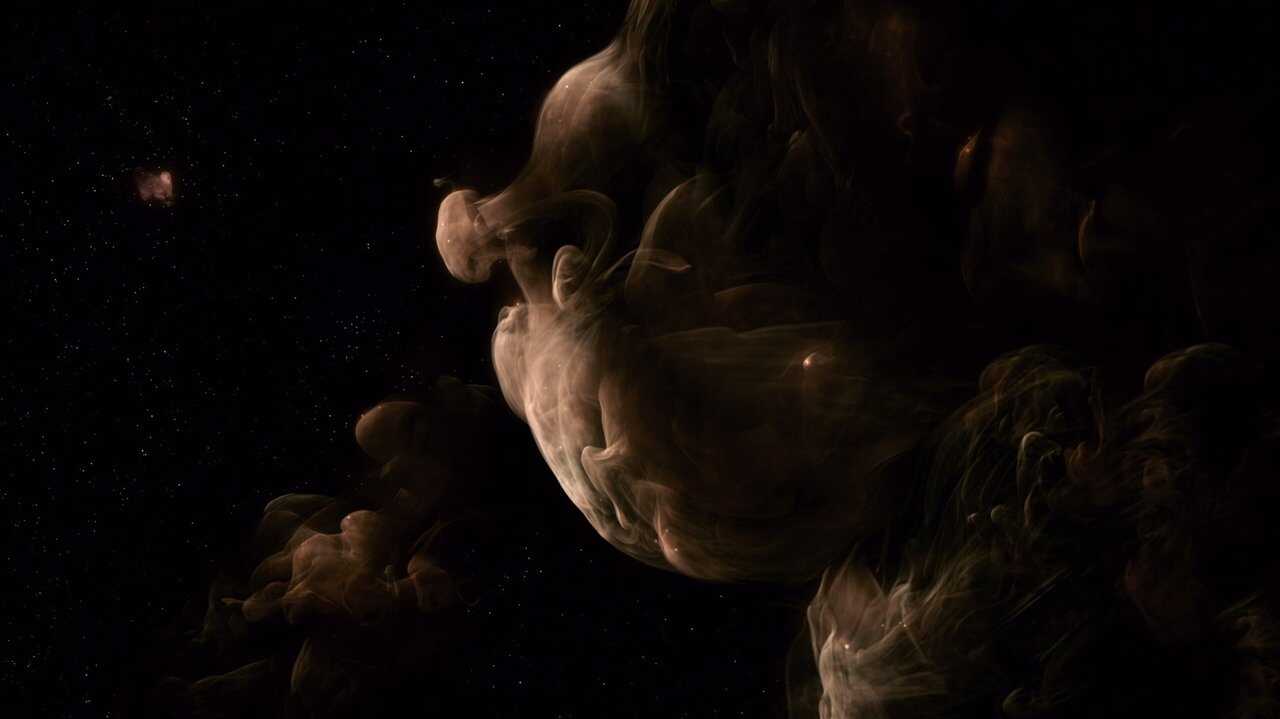 The Tree of Life (2011) 0