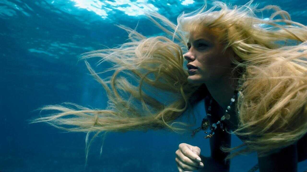 Splash 0