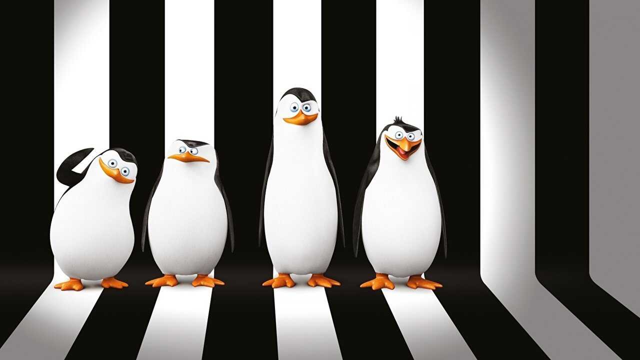 The Penguins of Madagascar: Operation Search and Rescue 0
