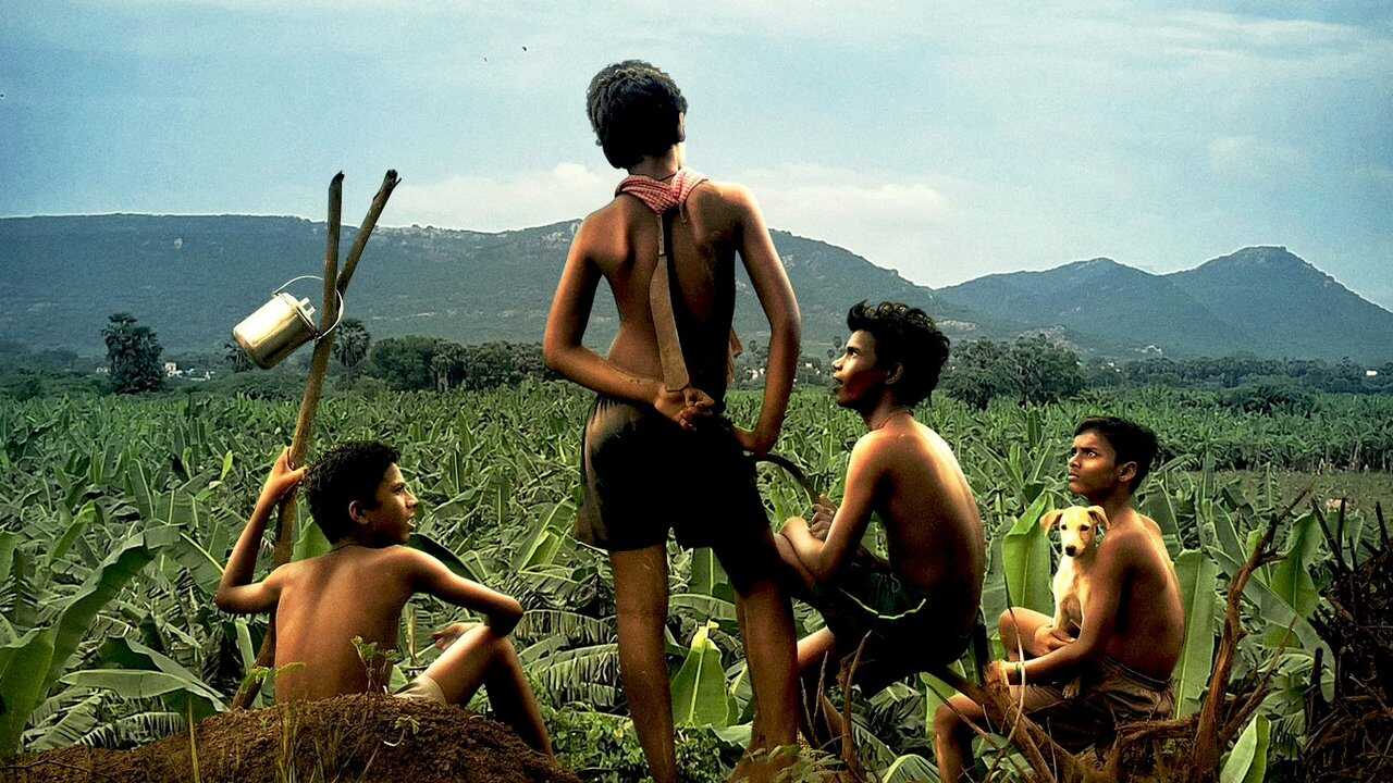 வாழை 0