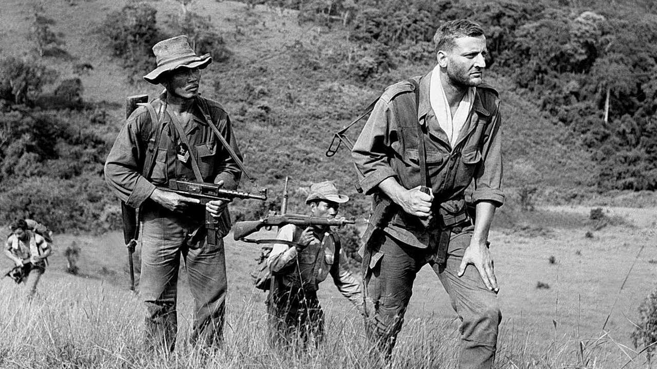 Die 317. Sektion (1965) 0