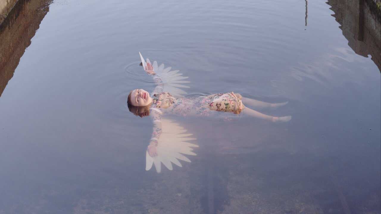 Die Seemeeu 0