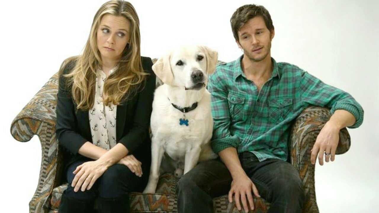 Who Gets the Dog? (2016) 0