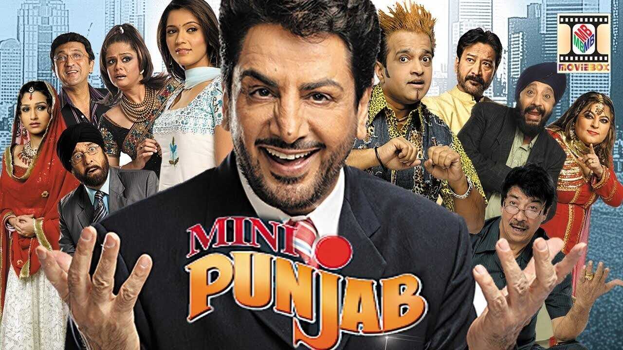 Mini Punjab (2009) 0