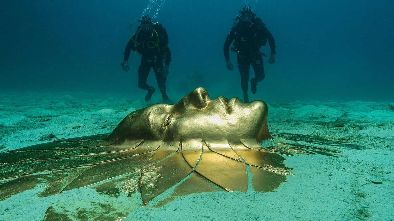 Treasures from the Wreck of the Unbelievable 0